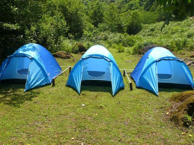 Отель Hotel Samefo Тбилиси-27